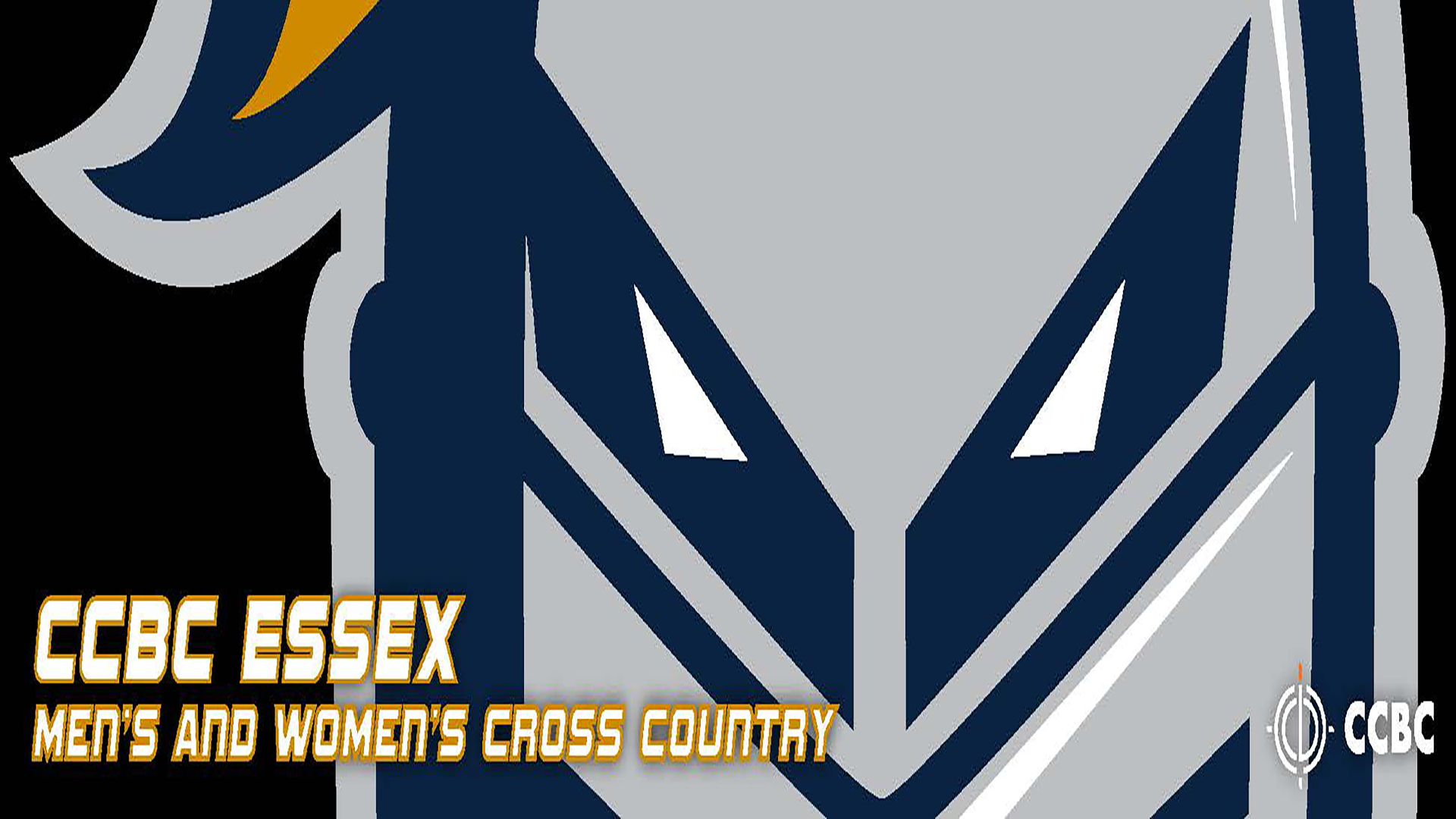 Knights Cross Country Shows Well at Dickinson Long &amp; Short